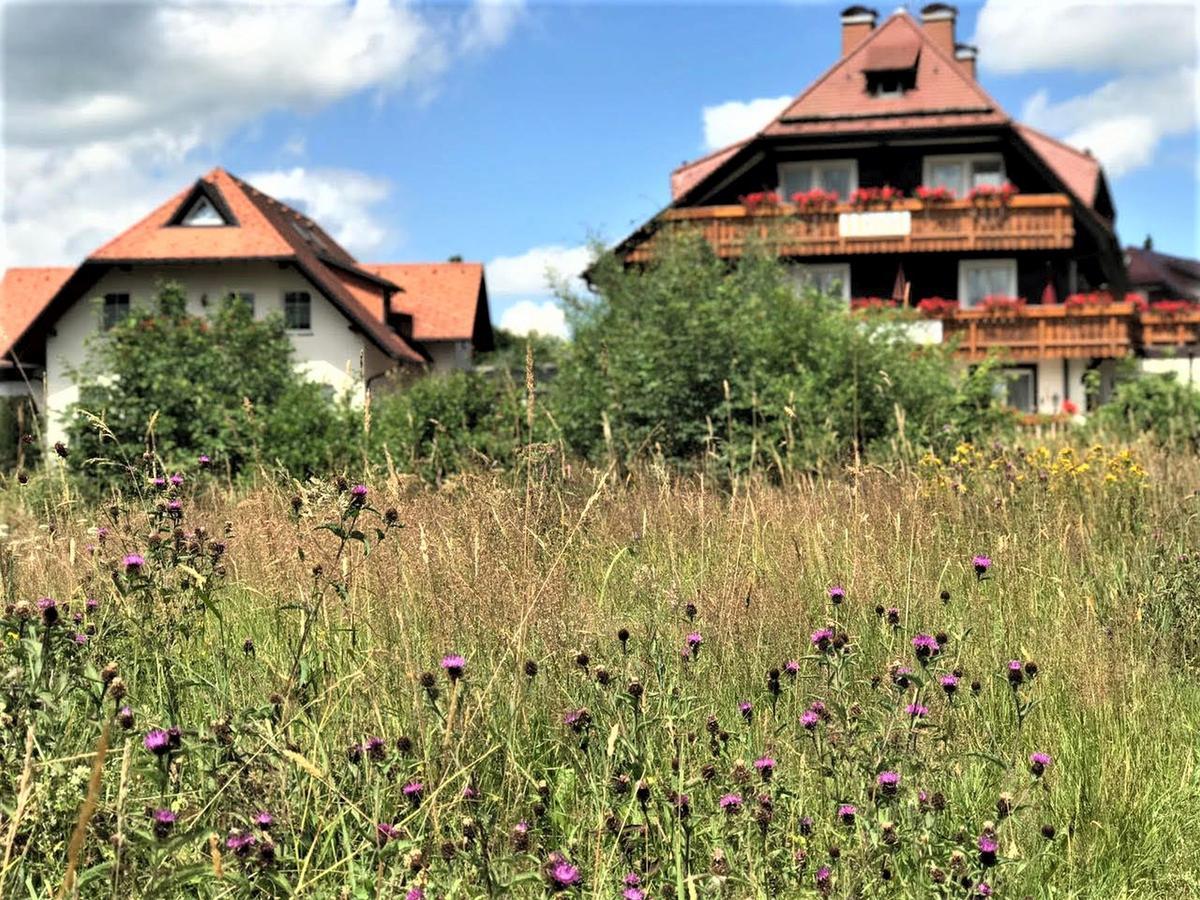 Hotel Zartenbach هينترتزارتن المظهر الخارجي الصورة